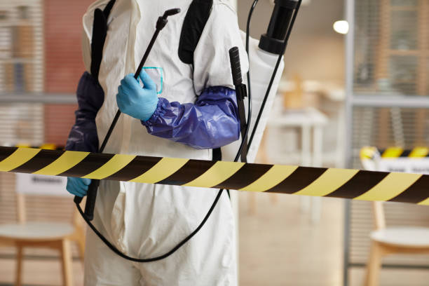 Professional Sewage Cleanup technician working in Salem, NE